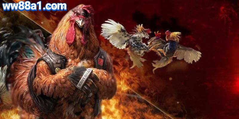 Người chơi có thể lựa chọn trận từ cả hai sảnh, tuỳ vào gu giải trí hoặc phong cách cược của mình