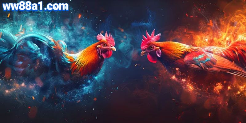 Giới thiệu về đá gà trực tuyến tại WW88